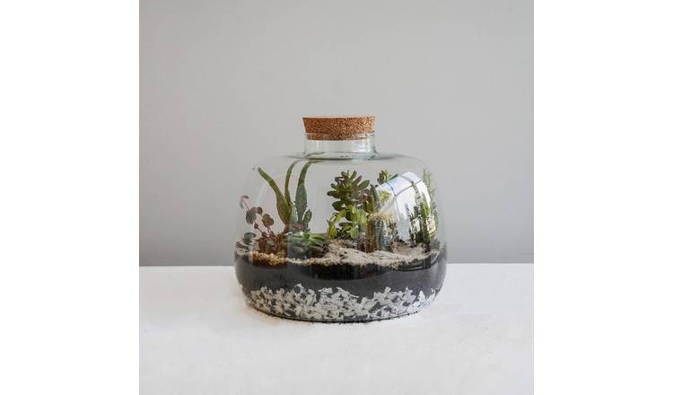 Ivyline Bowl Shape Large Terrarium DIY Kit