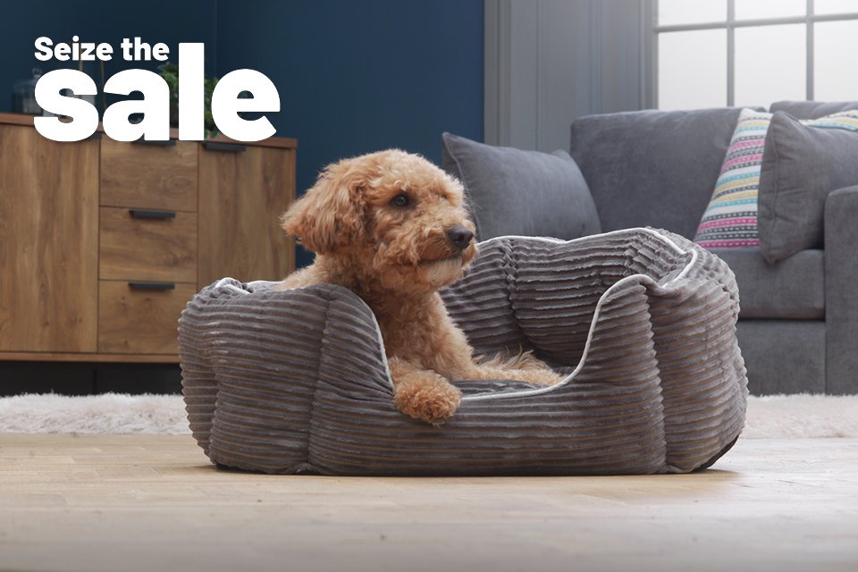 Seize the sale. Save up to 1/3 on selected pet care. Holiday savings for your furry friends.