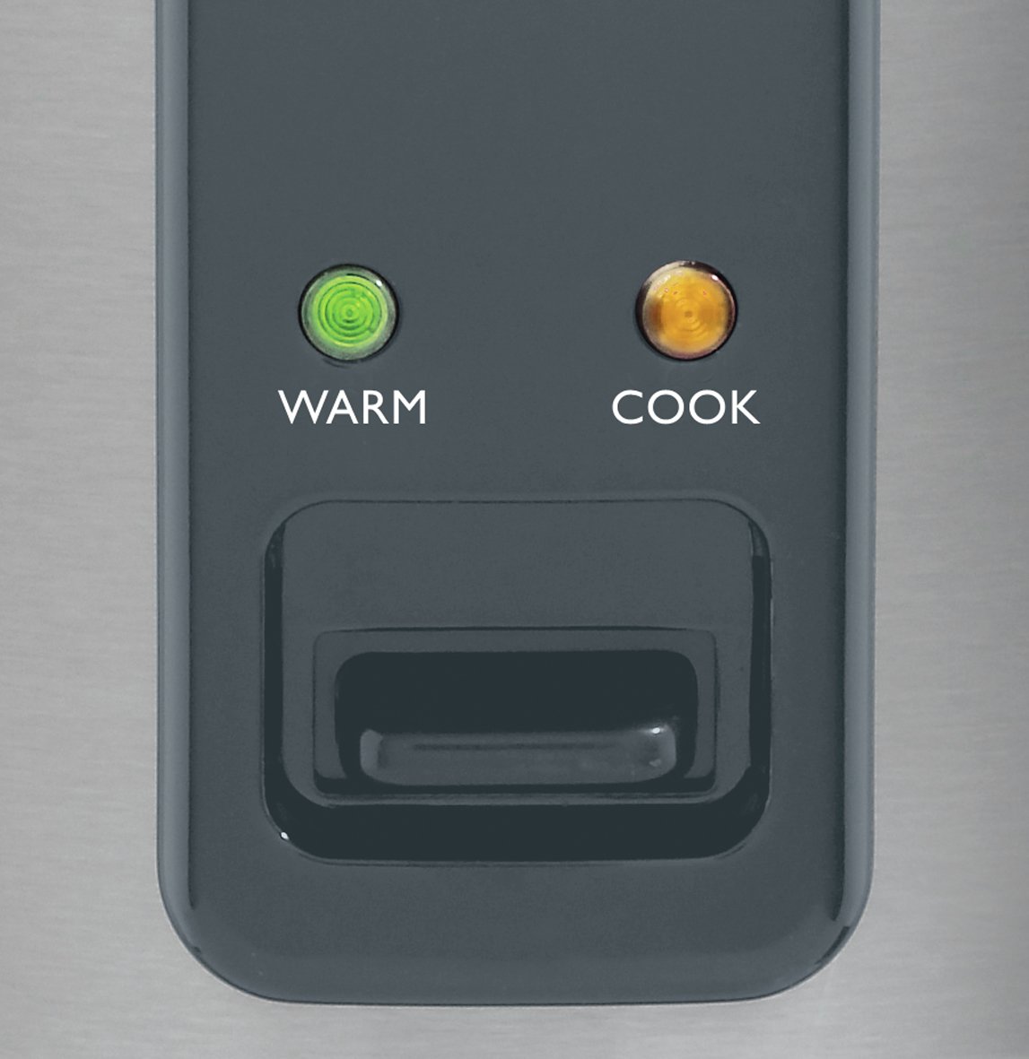 Breville ITP181 1.8L Rice Cooker and Steamer Reviews Updated July 2024