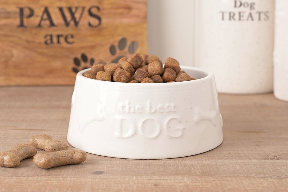 Pet essentials. Everything your furry friends need to feel happy and loved. Shop now.