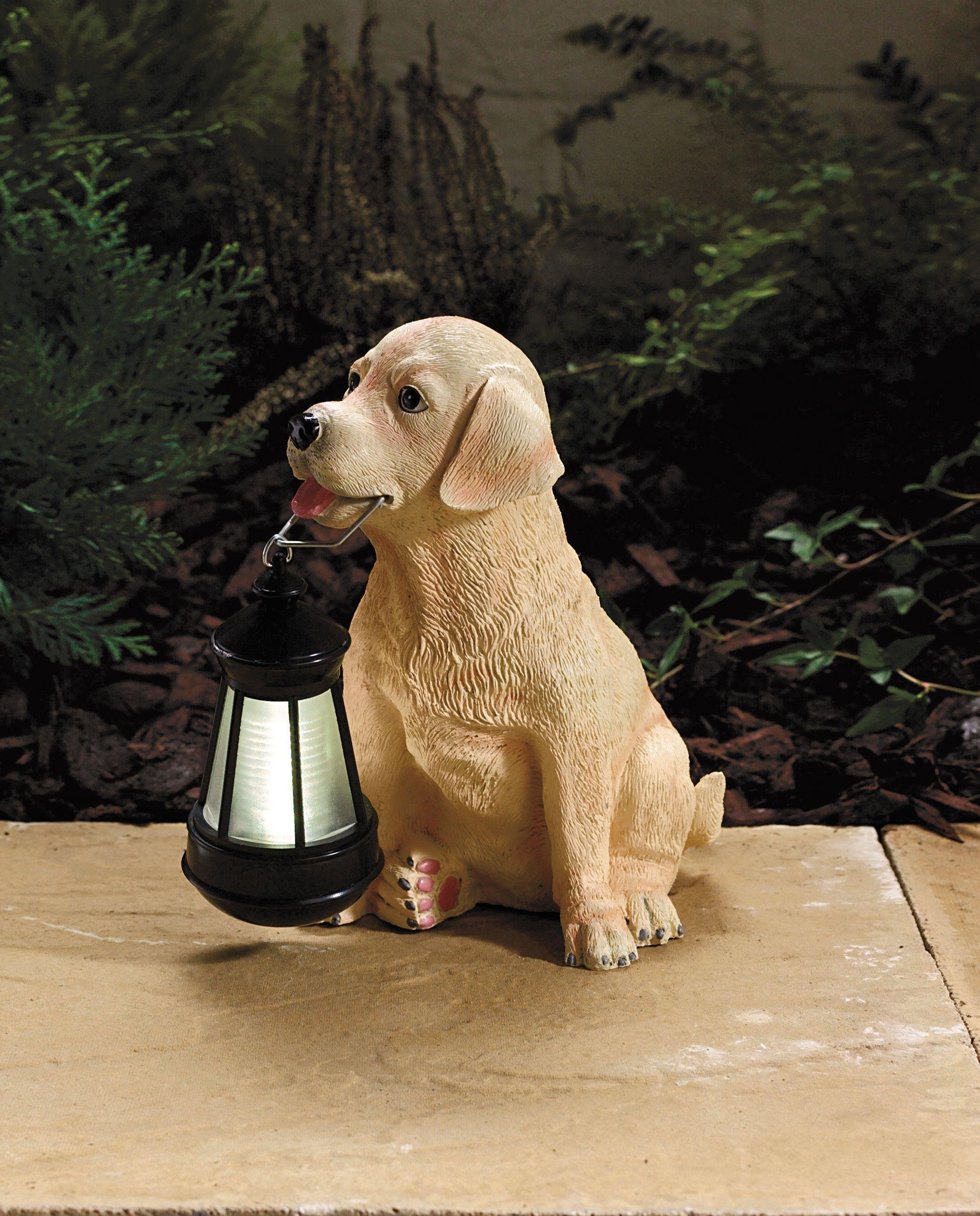 Solar 2024 dog light