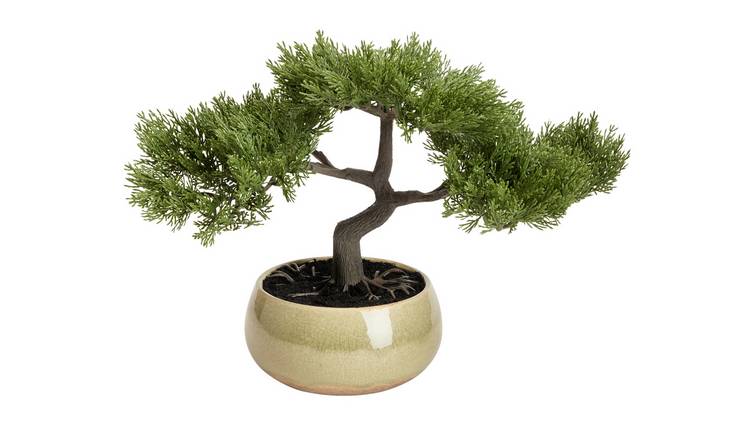 Argos Home Artificial Bonsai Tree in Ceramic Glaze Pot