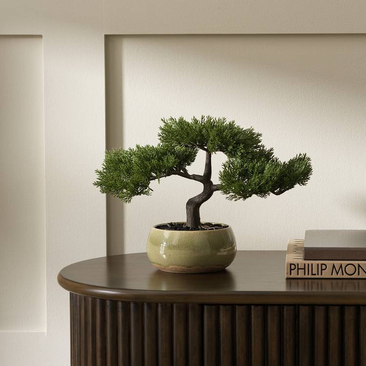 Argos Home Artificial Bonsai Tree in Ceramic Glaze Pot 0