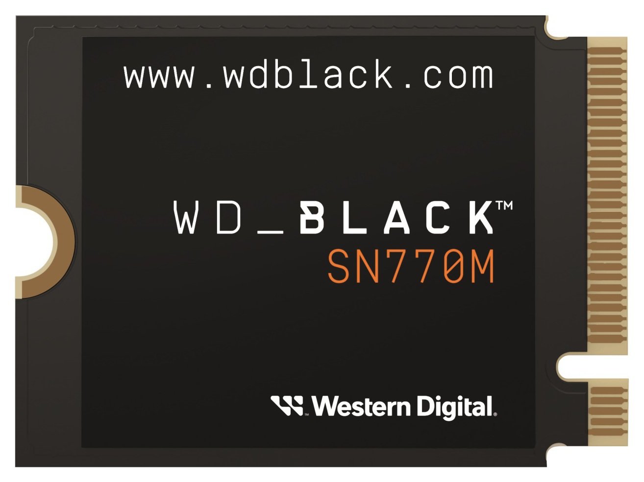 Buy WD SN770M 2TB M.2 Internal SSD | External hard drives | Argos
