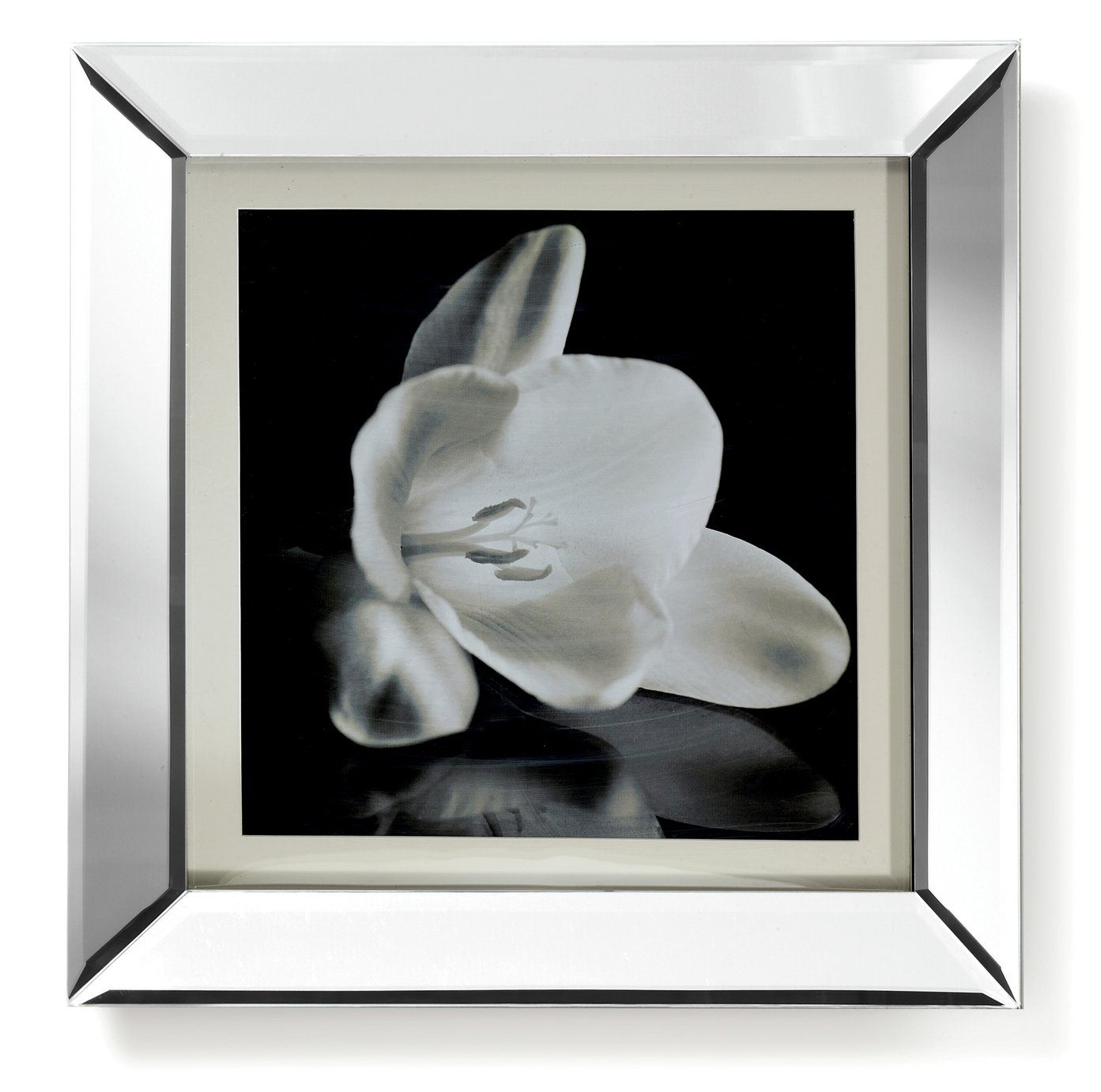 Arthouse Showstopper Floral Mirrored Framed Print - 60x60cm