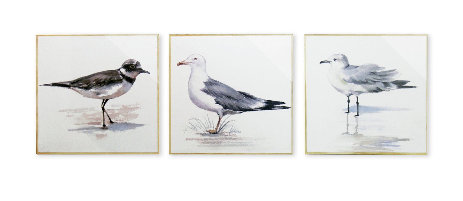Arthouse Coastal Birds Boxed Print - Set of 3