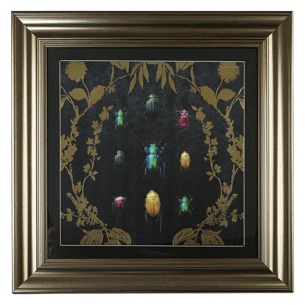 Arthouse Alchemy Bugs Framed Print