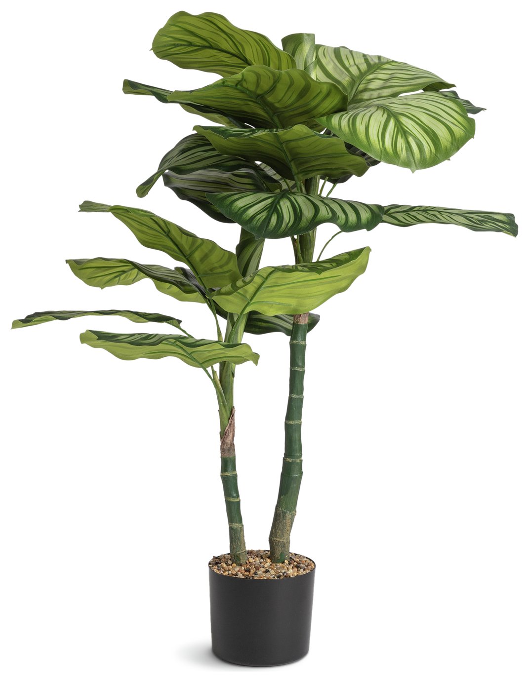 Home 39 inch Tall Faux Calathea Tree