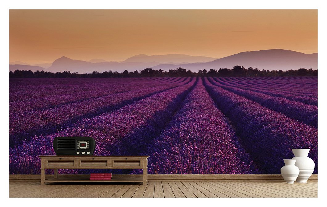 1Wall Lavender Fields Wall Mural