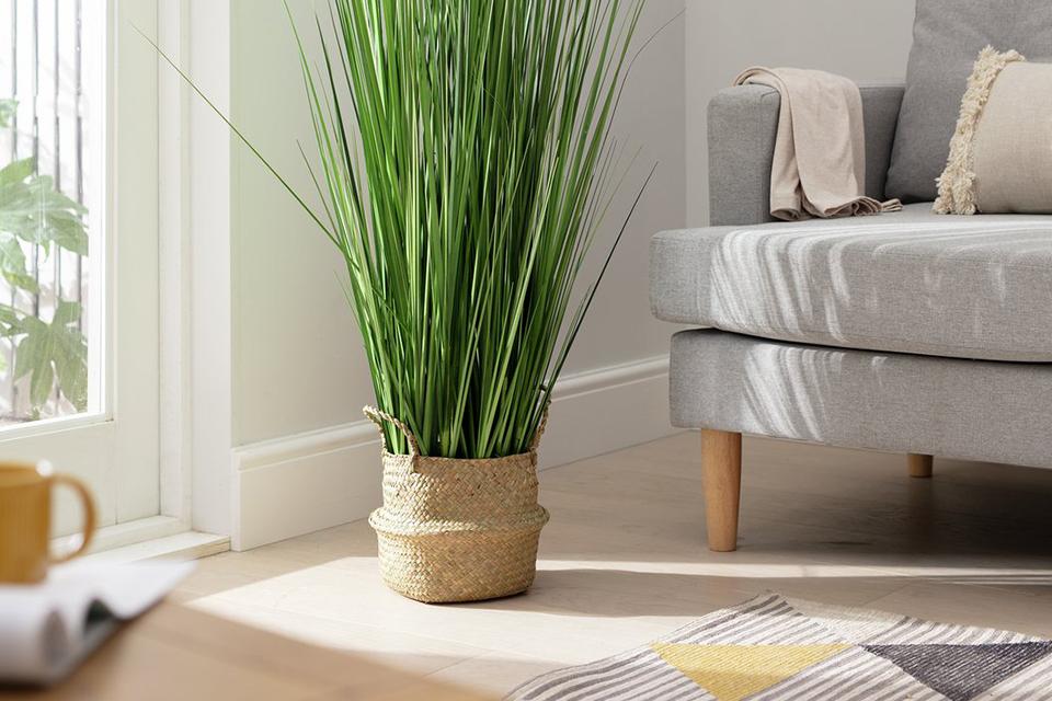 Large pampas in a woven basket.