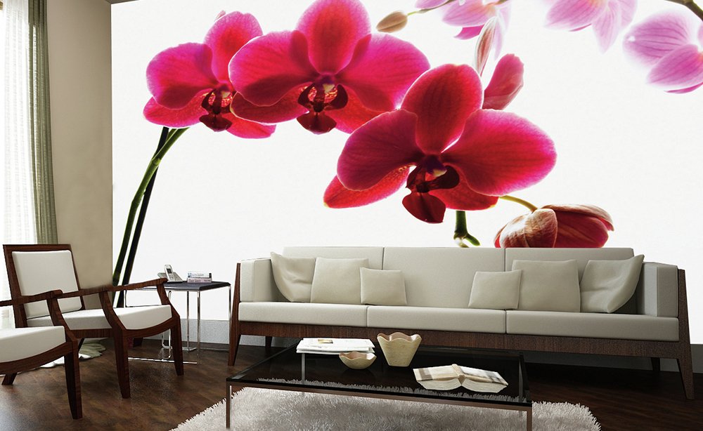1Wall Orchid Wall Mural