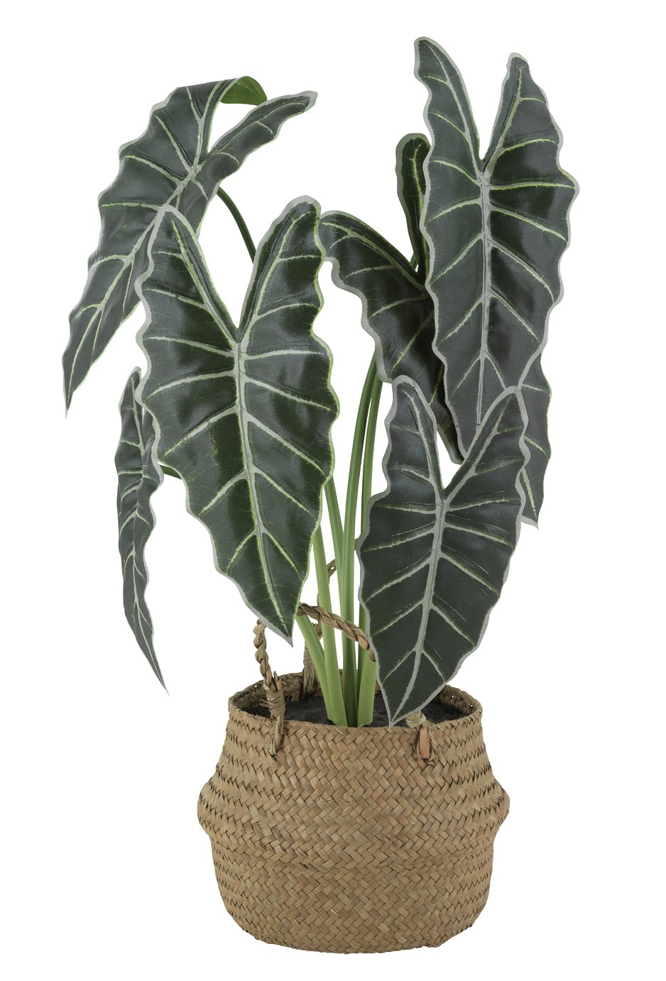 Argos Home Artificial Potted Plant in Basket Review