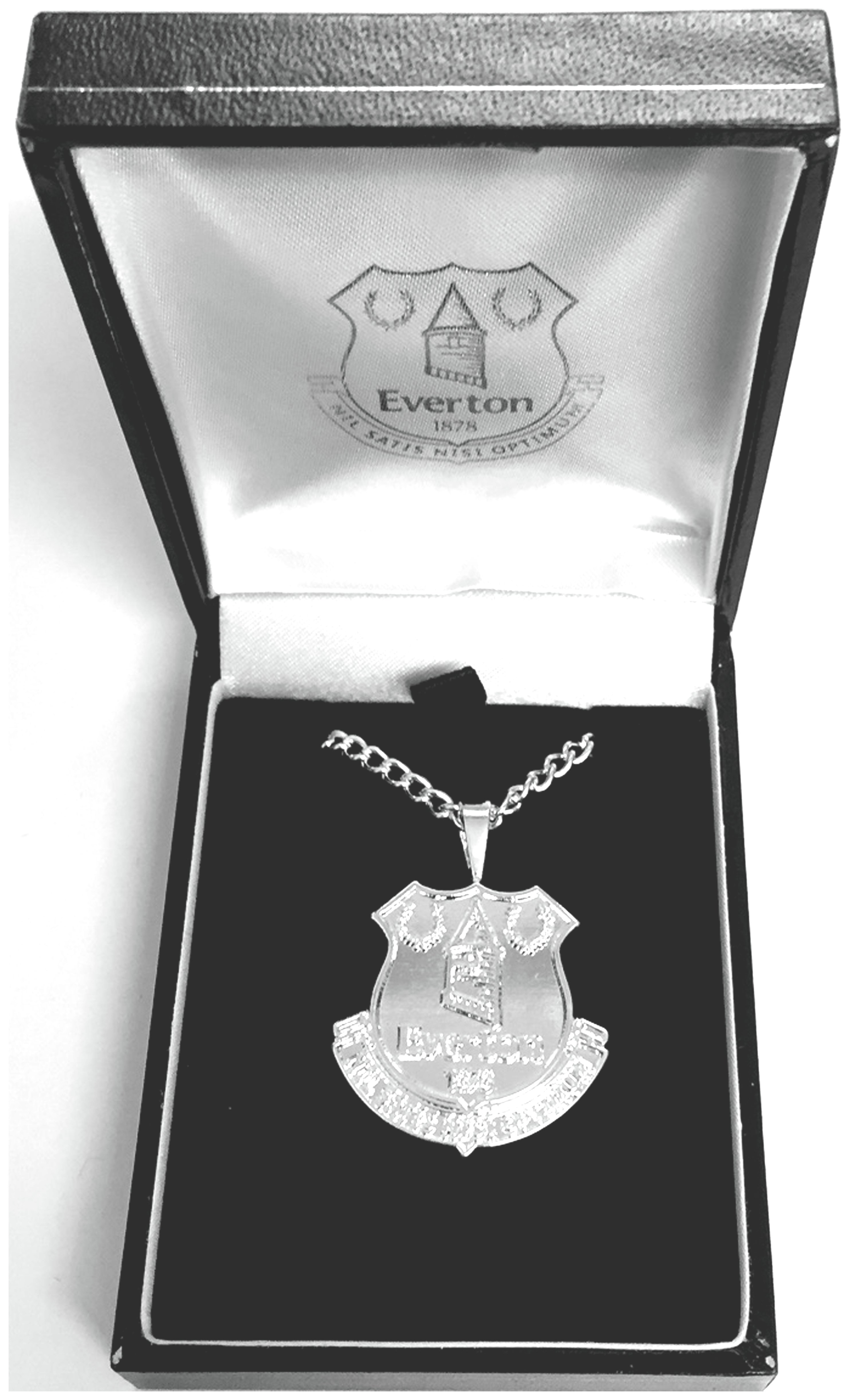 Silver Plated Everton Pendant and Chain. Review