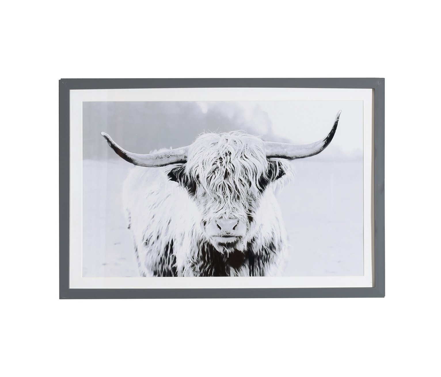 Arthouse Highlands Cow Framed Print Wall Art -50x60cm