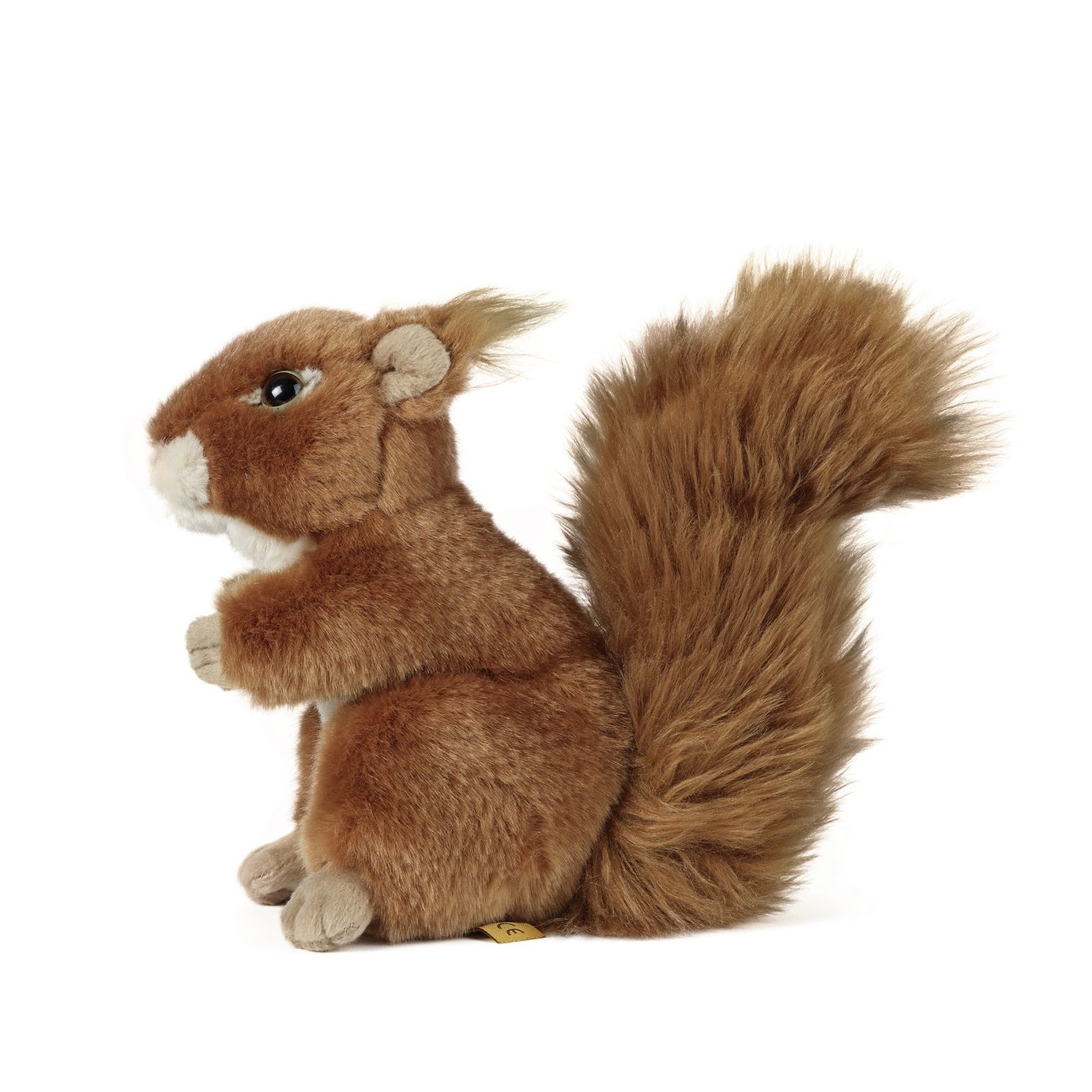 red squirrel teddy