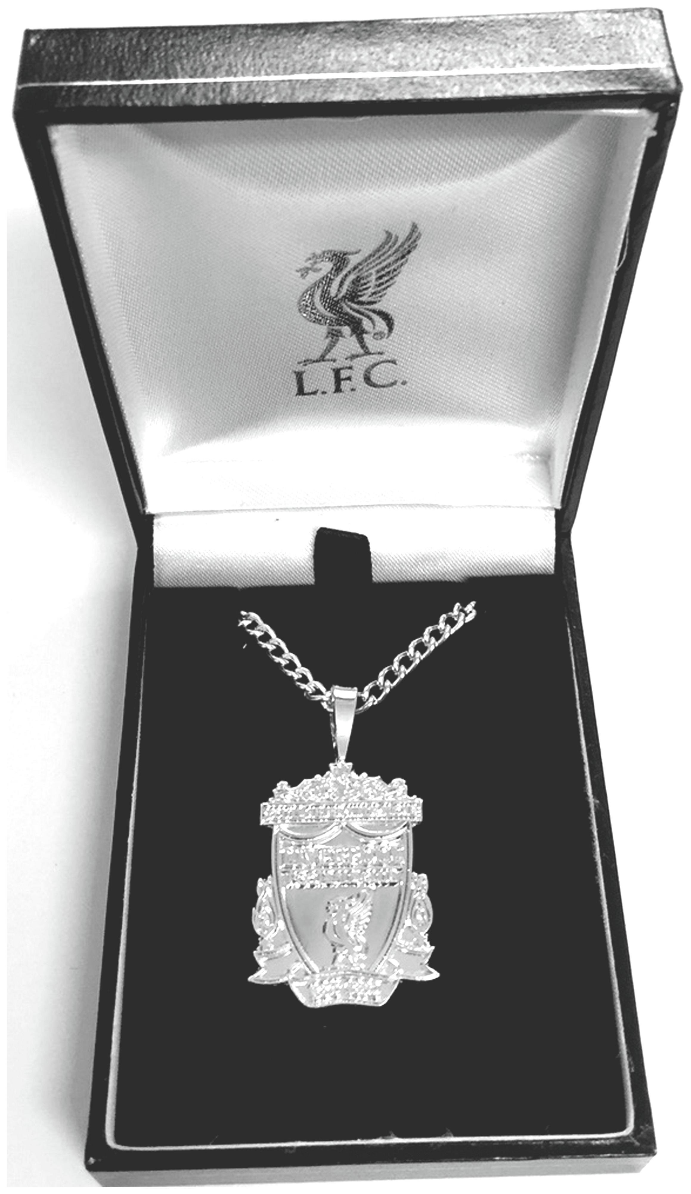 Silver Plated Liverpool Pendant and Chain. Review