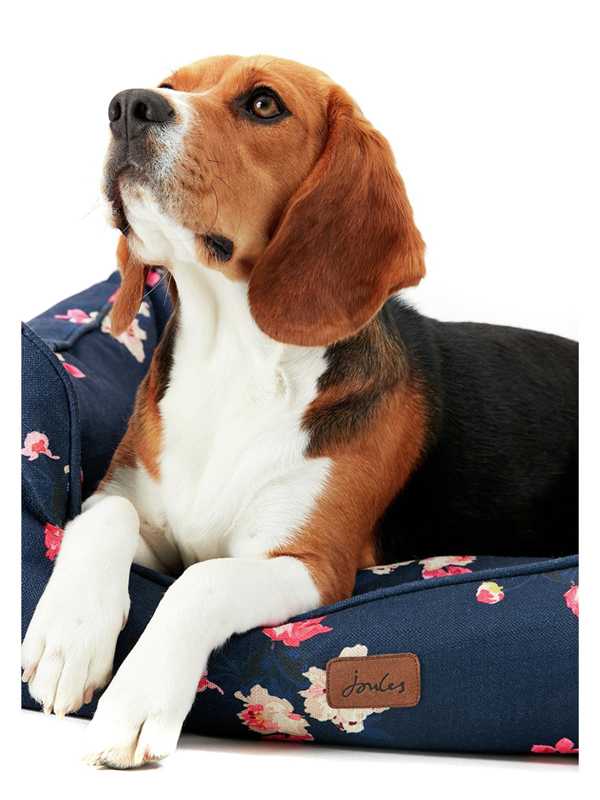 Snoooz Dog beds Argos
