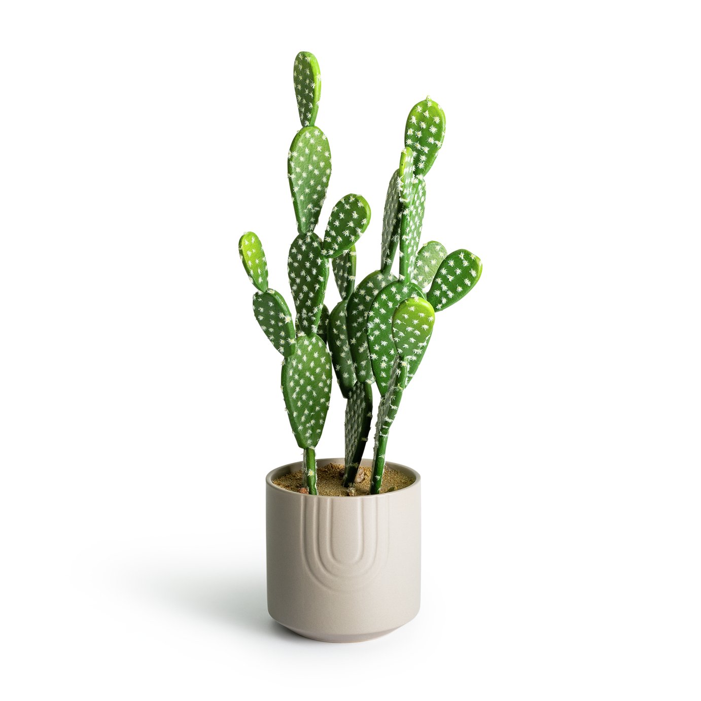 Argos Home Sahara Potted Faux Cactus Review