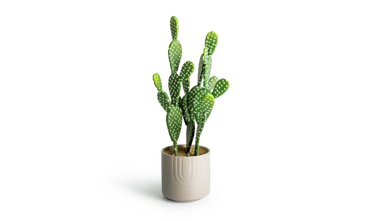 Argos Home Sahara Potted Faux Cactus