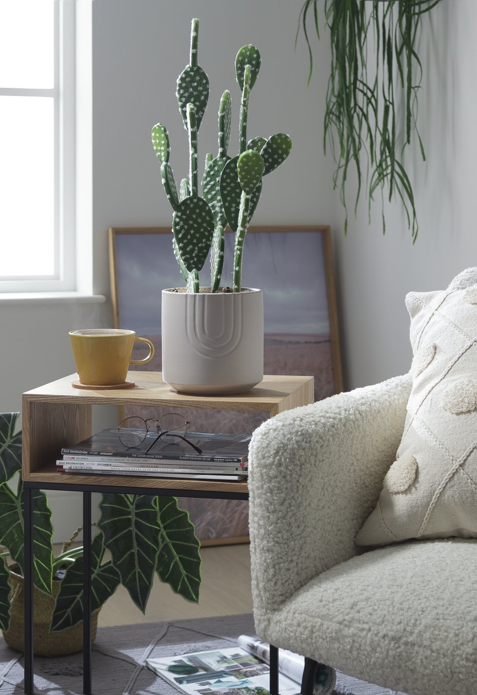 Argos Home Sahara Potted Faux Cactus Review