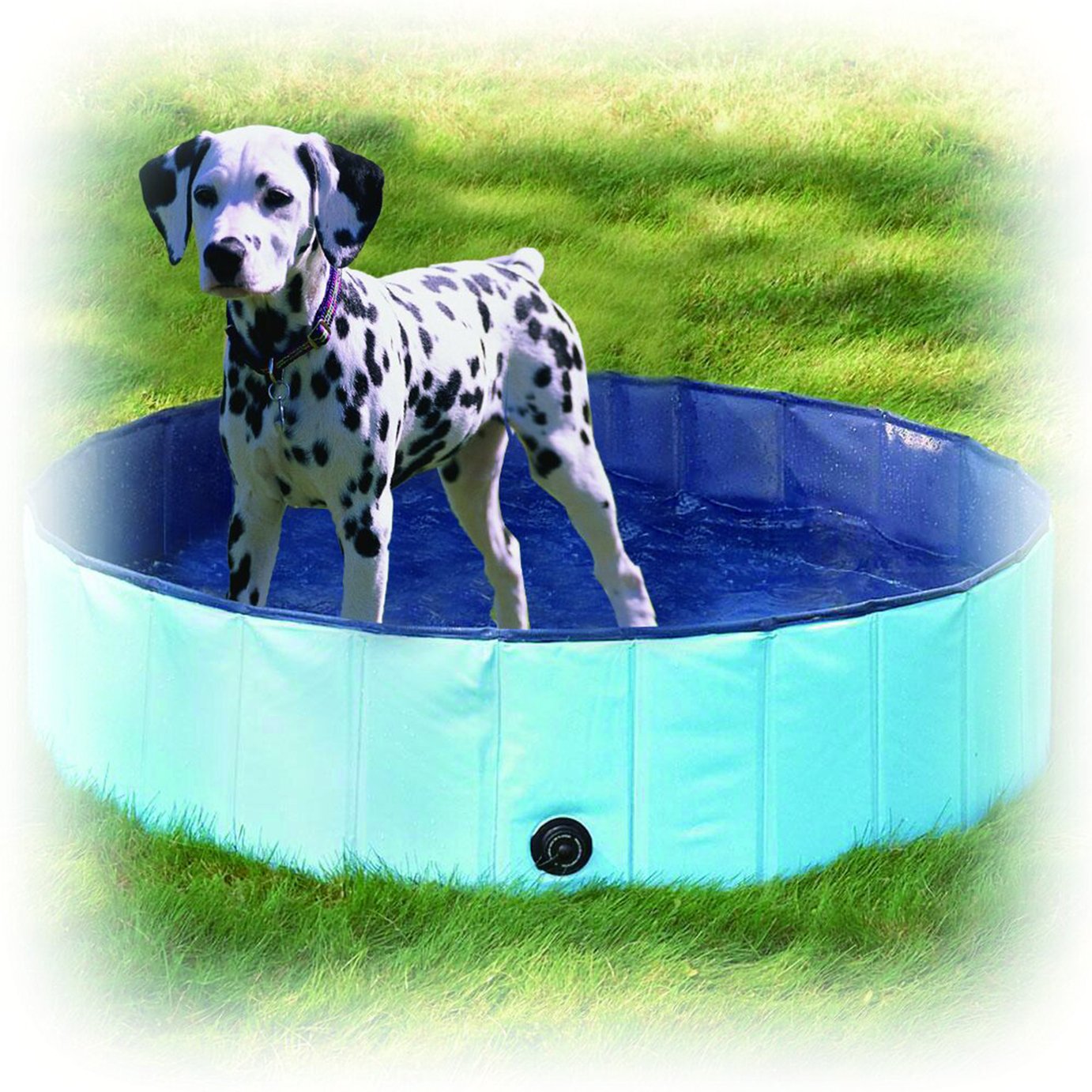 dog proof paddling pool argos