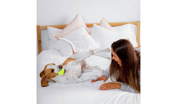 Activity Superstore Dog Friendly Hotel Stays For Two