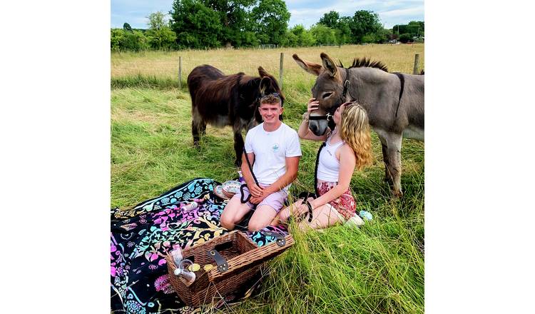 Activity Superstore Donkey Picnic At Dashing Donkeys For 4