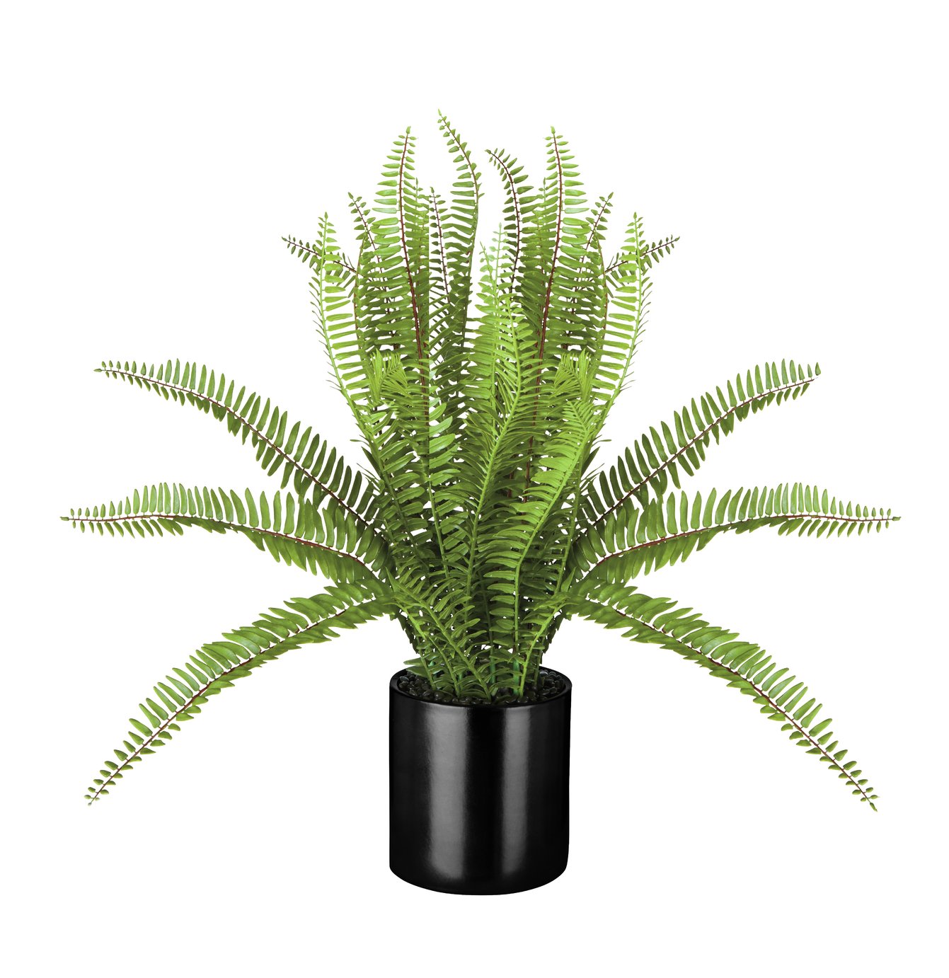 Giant Faux Fern In A Pot Review