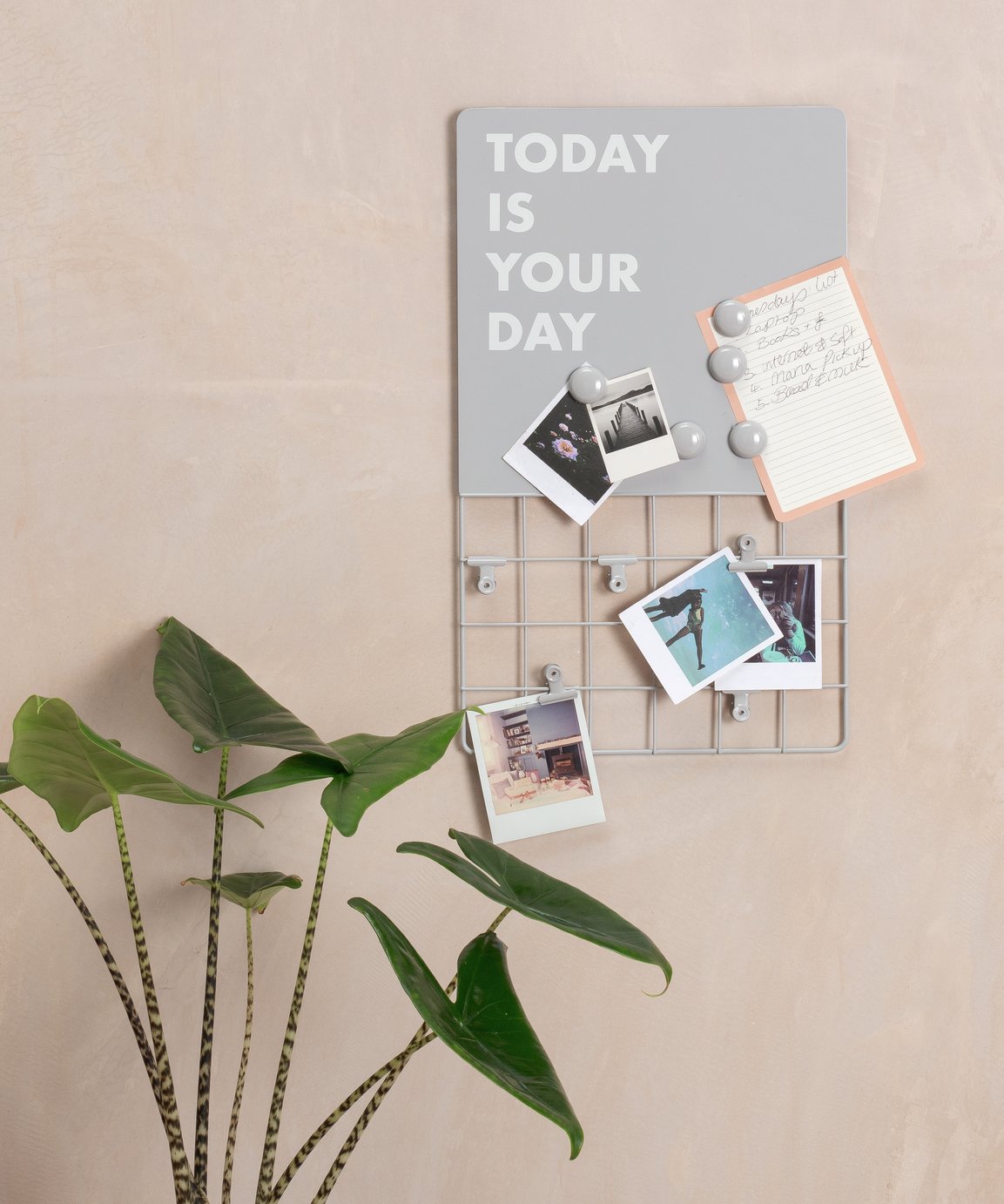 Argos Home Novelty Memo Board Reviews Updated July 2024