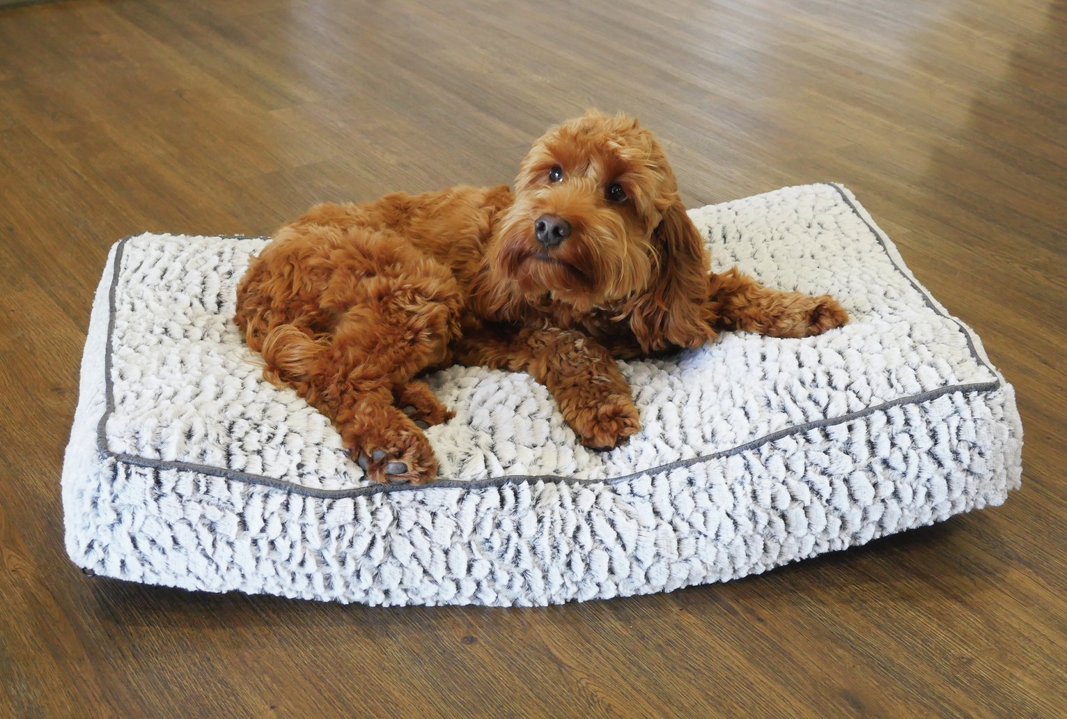 Rosewood Selfheated Dog Bed Reviews Updated May 2023