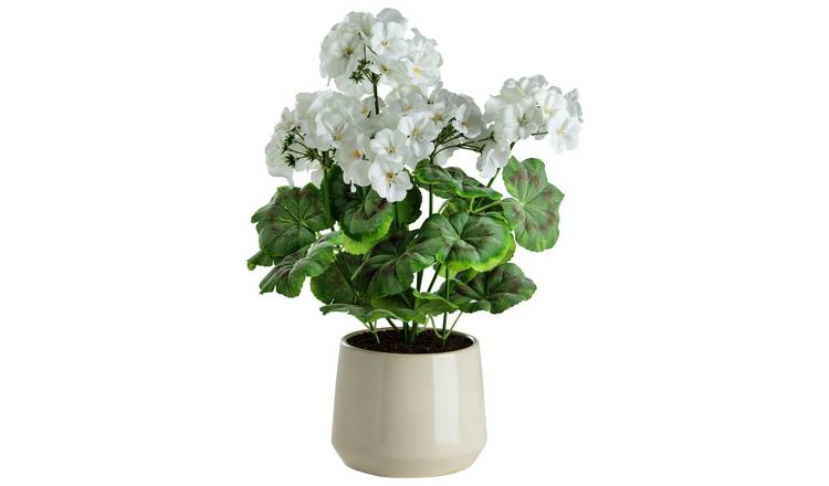 Argos Home Artificial Geranium in Ceramic Pot - Cream