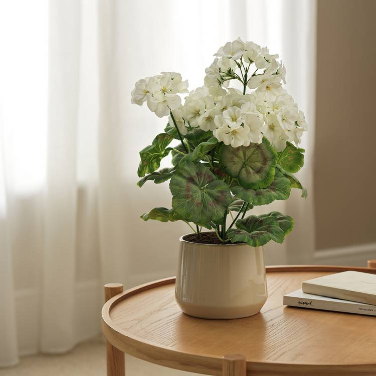 Argos Home Artificial Geranium in Ceramic Pot - Cream 0