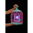 Live pets bird on sale cage