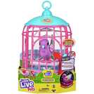 Little live hotsell pets bird argos