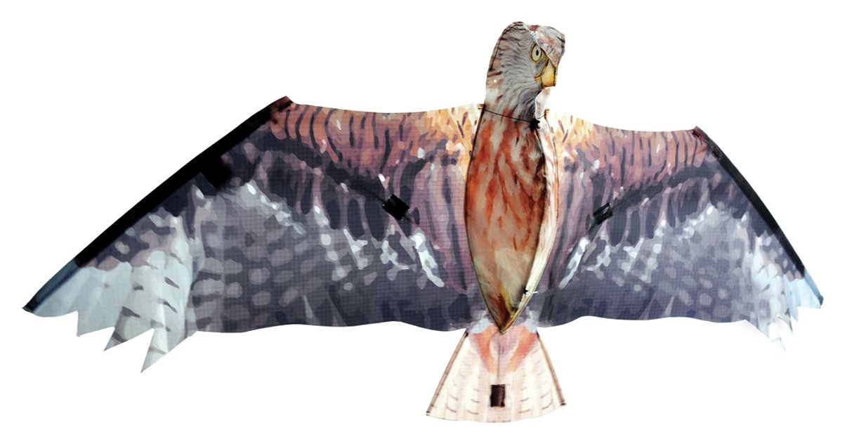 Brookite Red Kite Kite - 105 x 47cm