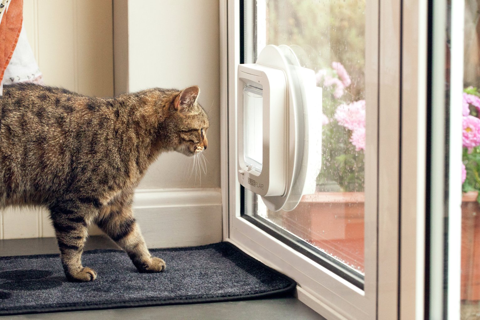 SureFlap Microchip Cat Flap. Reviews