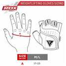 Buy RDX Gel Weightlifting Gloves - Medium/Large