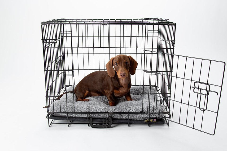 Dog crates and cages. Comfortable crates for rest and relaxation.