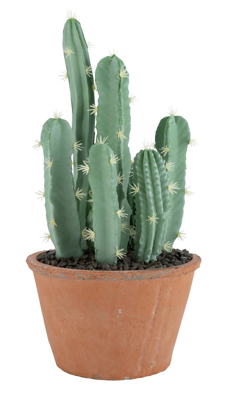 Argos Home Sahara Faux Cactus Pot Review