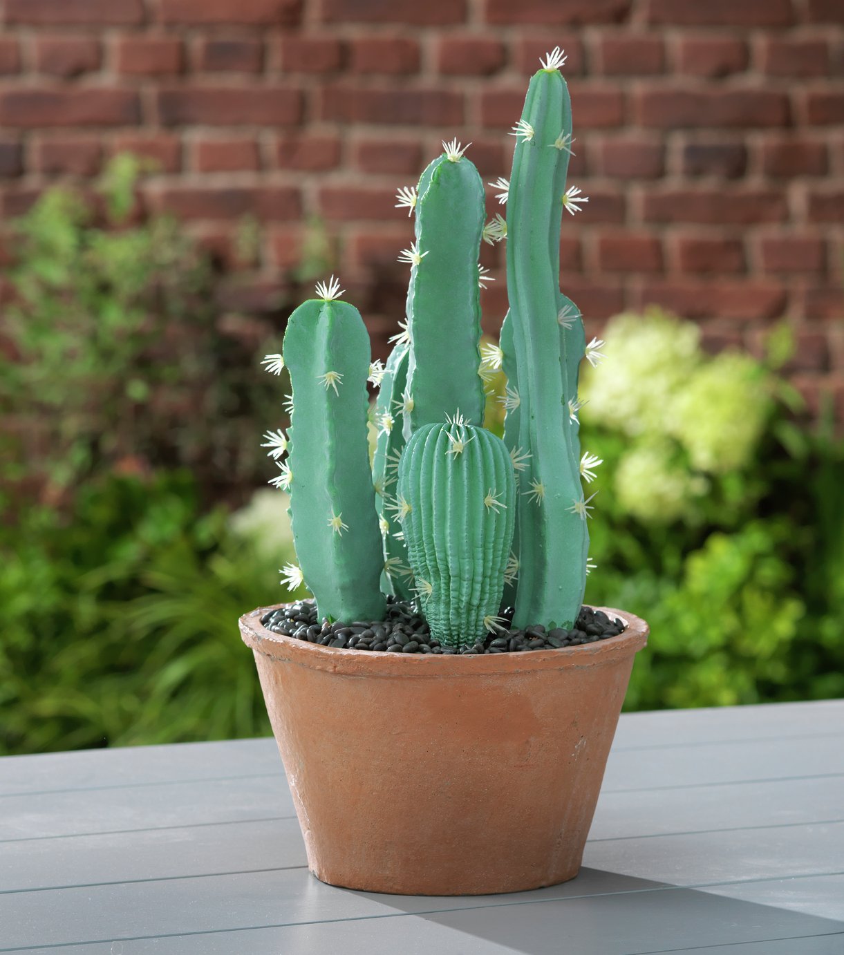 Argos Home Sahara Faux Cactus Pot Review