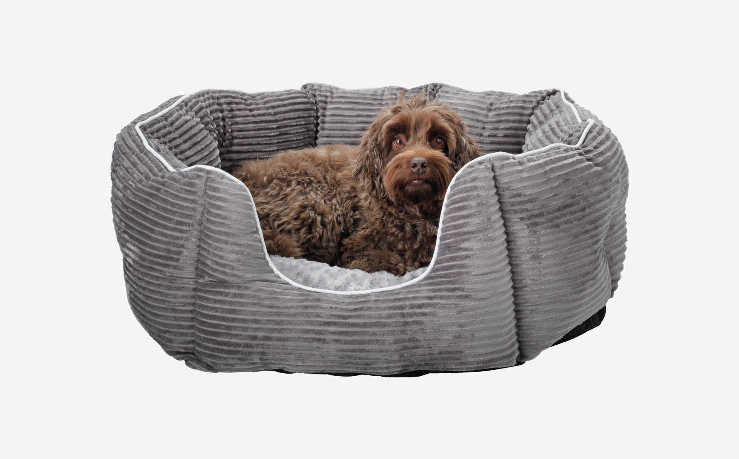 Argos dog top food storage