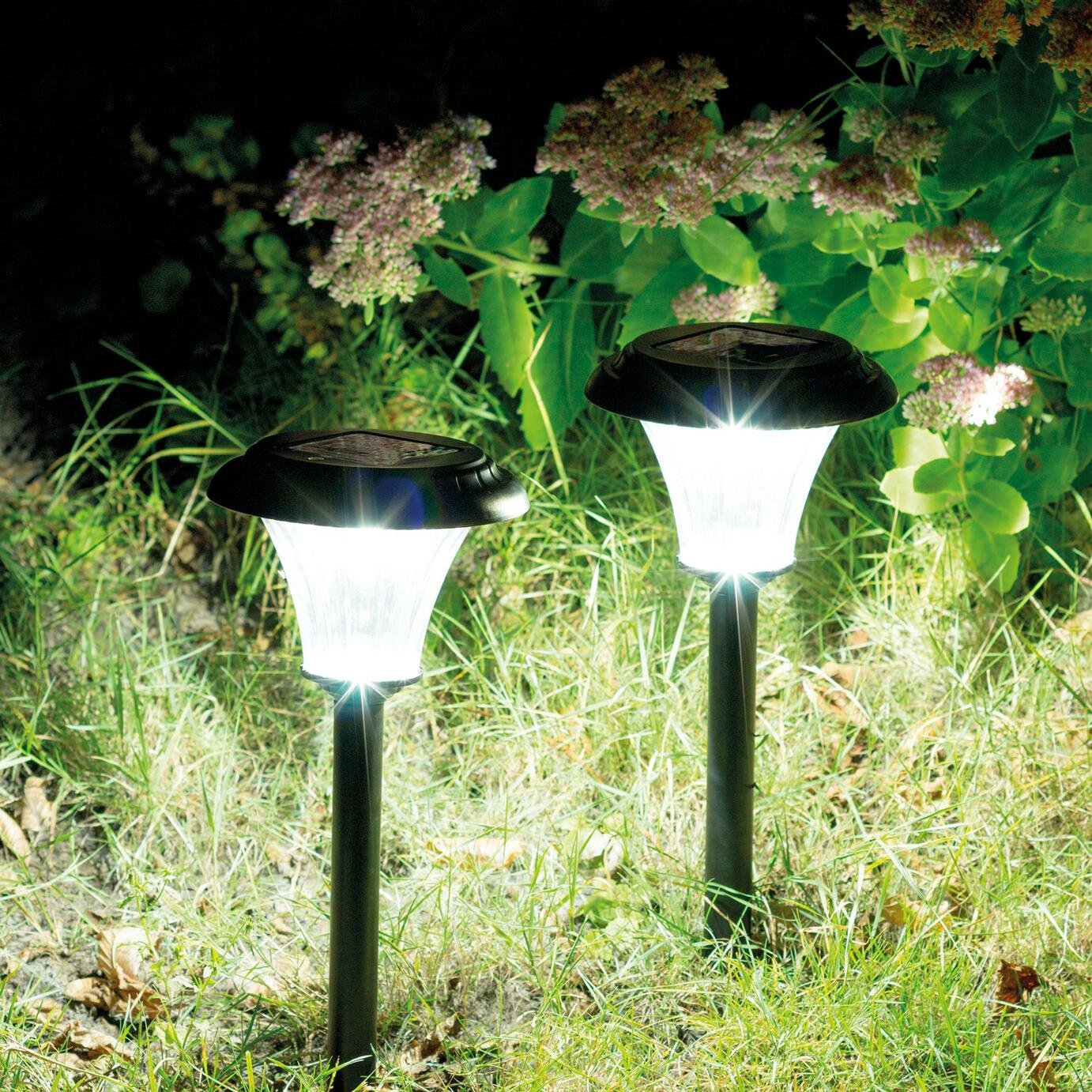 Duracell Set of 2 LED 15 Lumen Solar Lights Review