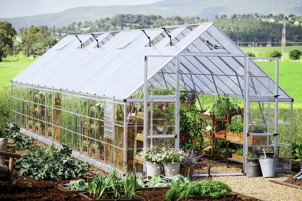 Palram Canopia Balance Silver Greenhouse.