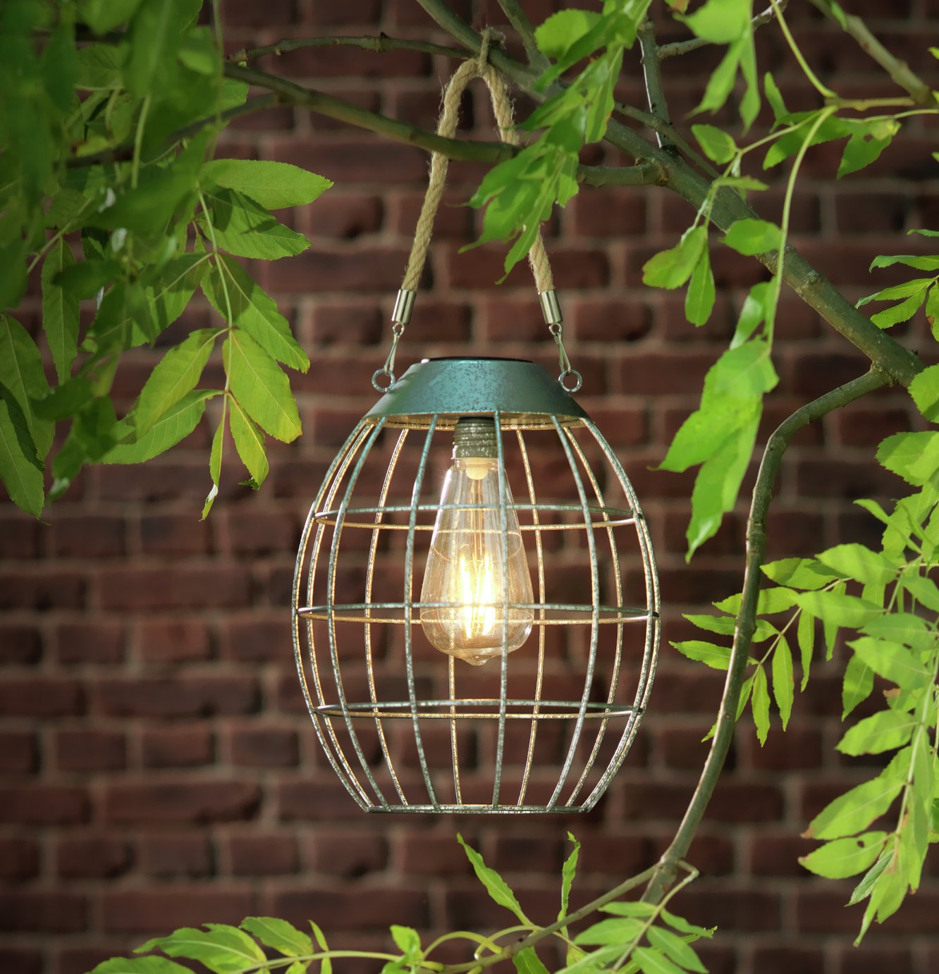buy lantern