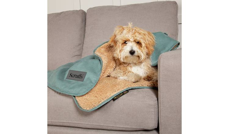 Argos shop pet blanket