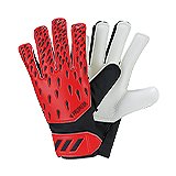 Shinpads and gloves.