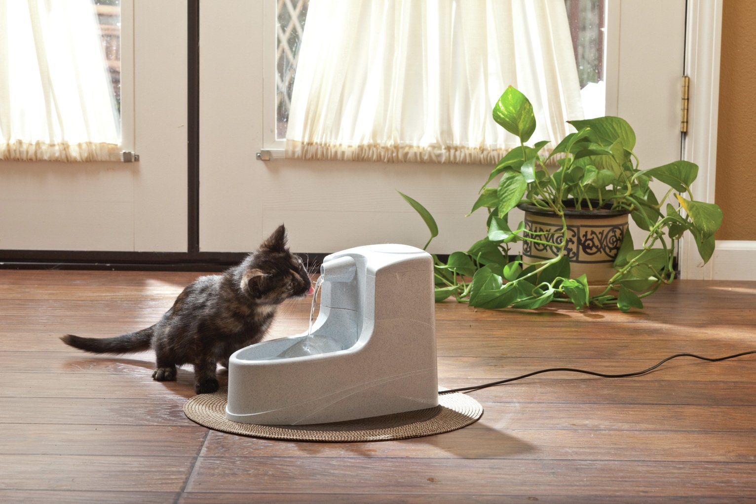 cat mate water fountain argos