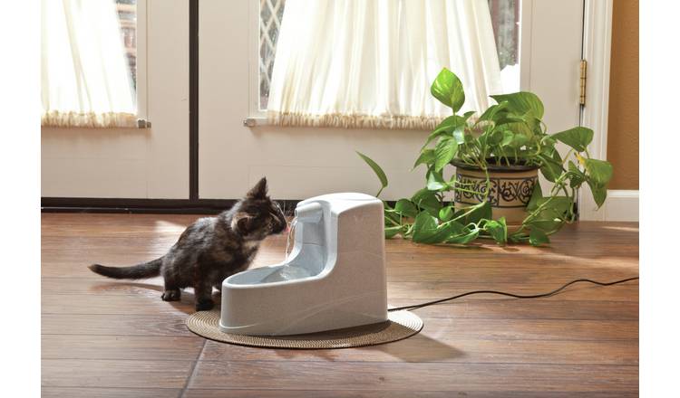 Argos pet cheap water fountain