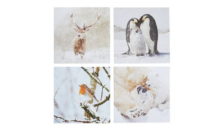 Comic Relief Pack of 24 Photographic Animals Christmas Cards