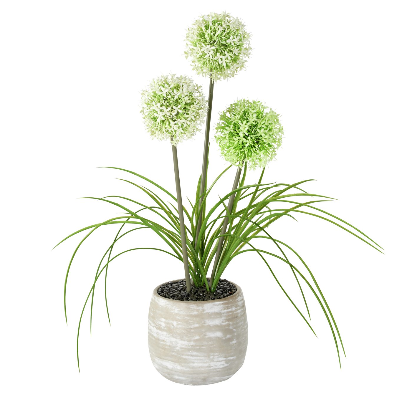 Argos Home Faux Allium In A Pot Review